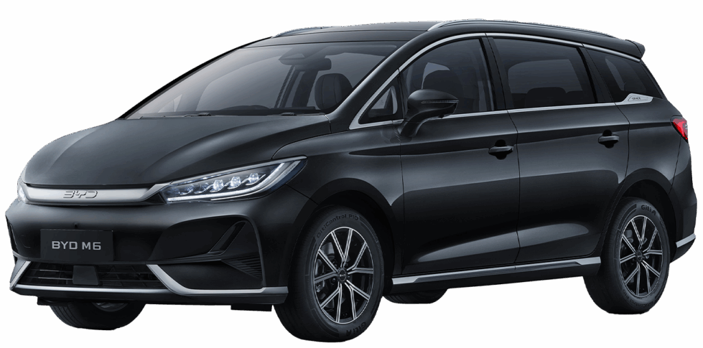 Quantum Black Dynamic